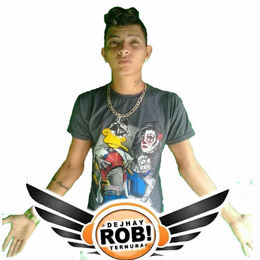 dj robi  ternura