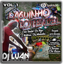Cd Laguinho Do Tendel Vol 1 By Dj Luan