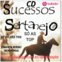 CD SUCESSOS SERTANEJO SO AS TOP-DJVALMIX PBR