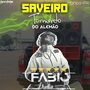 Saveiro Tormento Do Alemao
