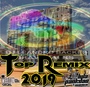 TOP REMIX 2019 VOL.01  - DJ LEANDRO BACK