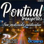 Pontual Transportes