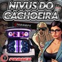 NIVUS DO CACHOEIRA JOINVILLE SC