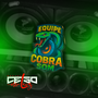 EQUIPE COBRA SOM